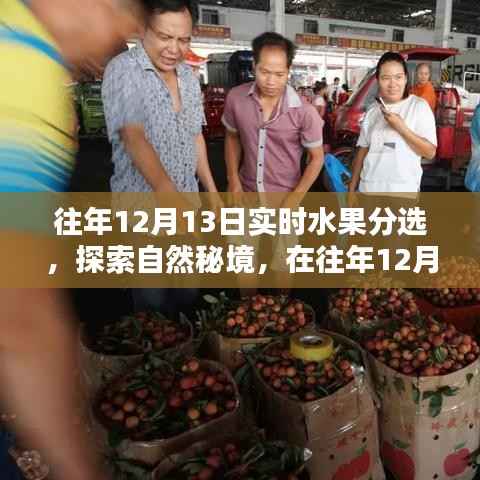 探索自然秘境,水果盛宴中的宁静与平和体验