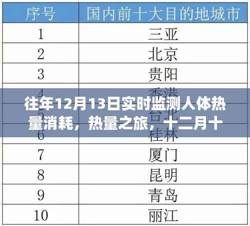 十二月十三日，热量消耗之旅与暖心日常监测