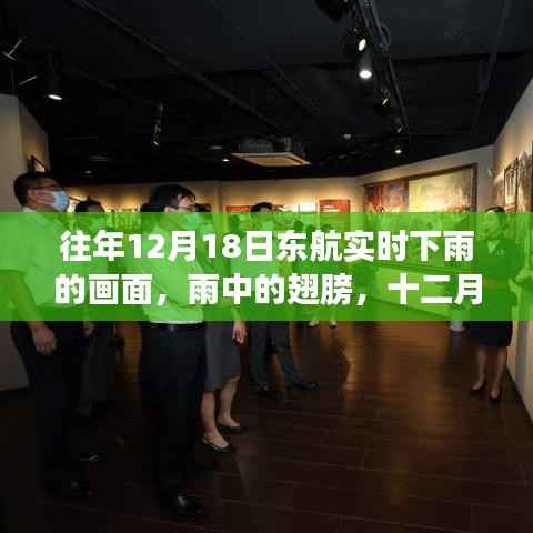 十二月十八日东航雨中翅膀之旅与友情小事