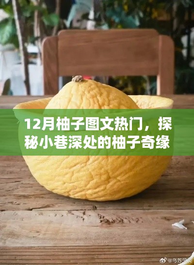 探秘柚子奇缘,隐藏版柚子主题小店的独特魅力,12月柚子图文热门