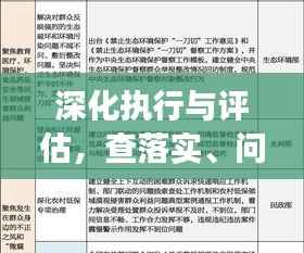 深化执行与评估,查落实、问成效的关键论述解析