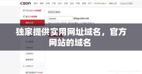 独家提供实用网址域名,官方网站的域名