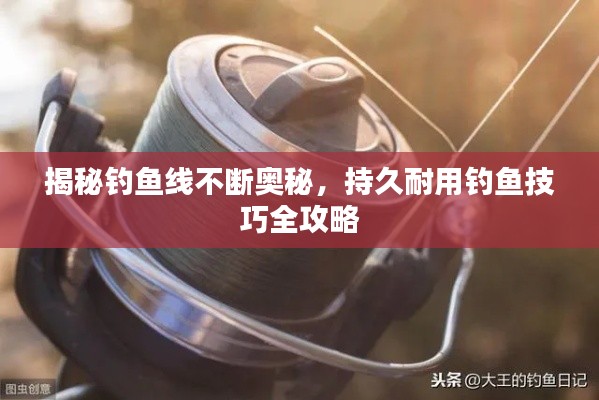 揭秘钓鱼线不断奥秘，持久耐用钓鱼技巧全攻略