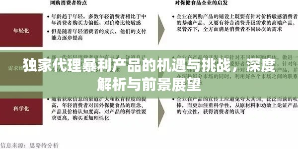 独家代理暴利产品的机遇与挑战,深度解析与前景展望