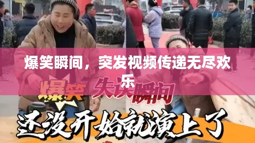 爆笑瞬间,突发视频传递无尽欢乐