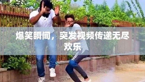 爆笑瞬间,突发视频传递无尽欢乐