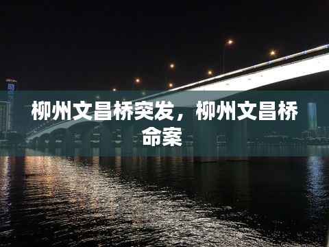 柳州文昌桥突发,柳州文昌桥命案
