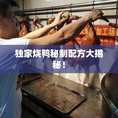 独家烧鸭秘制配方大揭秘!