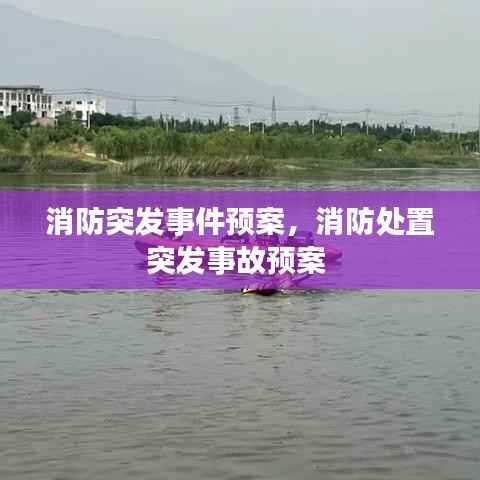 布衣蔬食 第3页