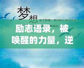 励志语录,被唤醒的力量,逆境成长的启示