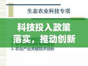科技投入政策落实,推动创新发展的关键之策