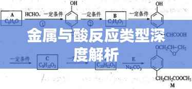 金属与酸反应类型深度解析