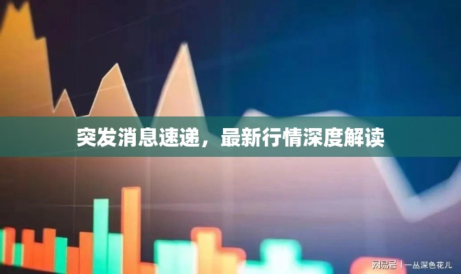 突发消息速递,最新行情深度解读