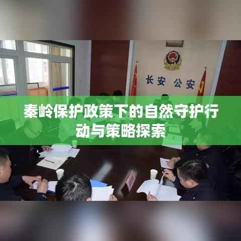 秦岭保护政策下的自然守护行动与策略探索