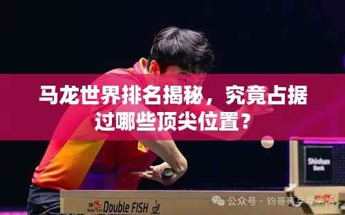 马龙世界排名揭秘,究竟占据过哪些顶尖位置?