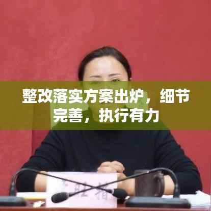 整改落实方案出炉,细节完善,执行有力