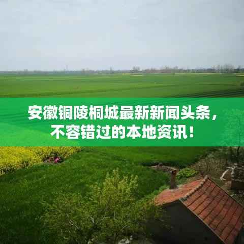 初遇在故事开头