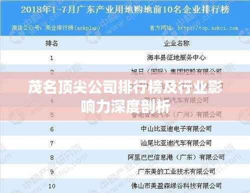 茂名顶尖公司排行榜及行业影响力深度剖析