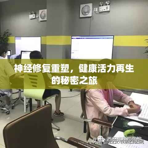 神经修复重塑，健康活力再生的秘密之旅