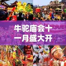 牛驼庙会十一月盛大开放，最新消息揭秘活动安排