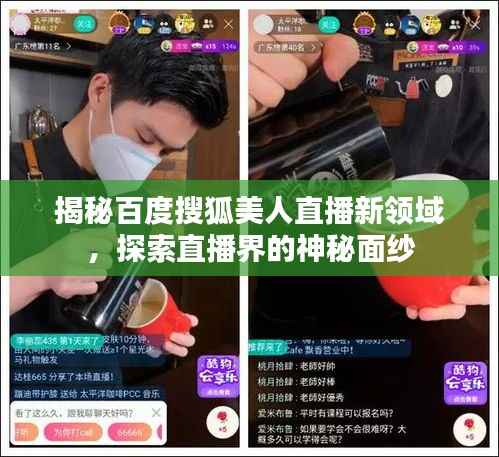 揭秘百度搜狐美人直播新领域,探索直播界的神秘面纱
