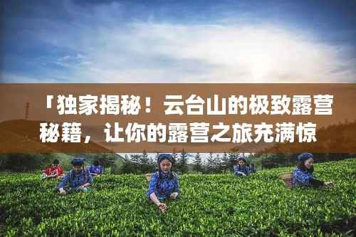 「独家揭秘!云台山的极致露营秘籍,让你的露营之旅充满惊喜!」