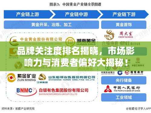 品牌关注度排名揭晓，市场影响力与消费者偏好大揭秘！