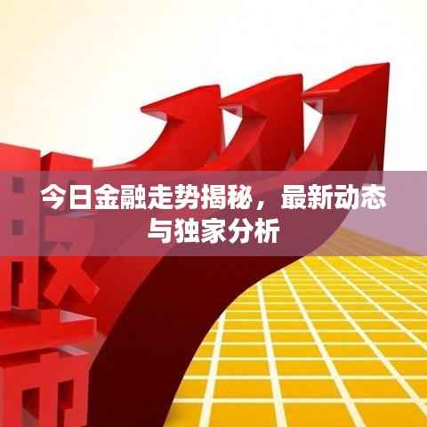今日金融走势揭秘,最新动态与独家分析