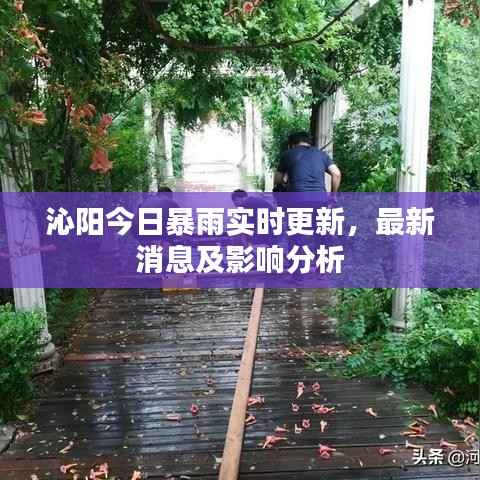 蹉跎岁月