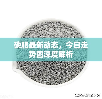 磷肥最新动态，今日走势图深度解析