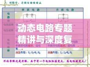动态电路专题精讲与深度复习指南