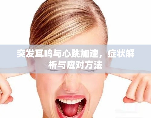 突发耳鸣与心跳加速,症状解析与应对方法