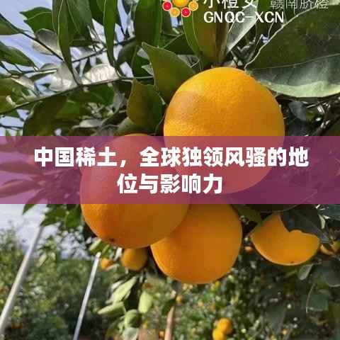 中国稀土，全球独领风骚的地位与影响力