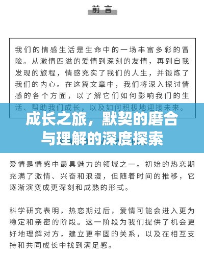 成长之旅，默契的磨合与理解的深度探索