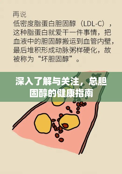 深入了解与关注，总胆固醇的健康指南