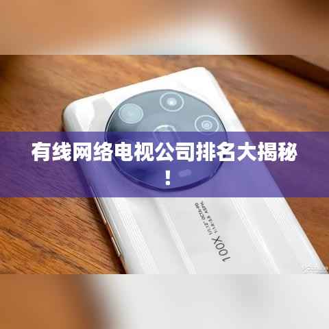 有线网络电视公司排名大揭秘！