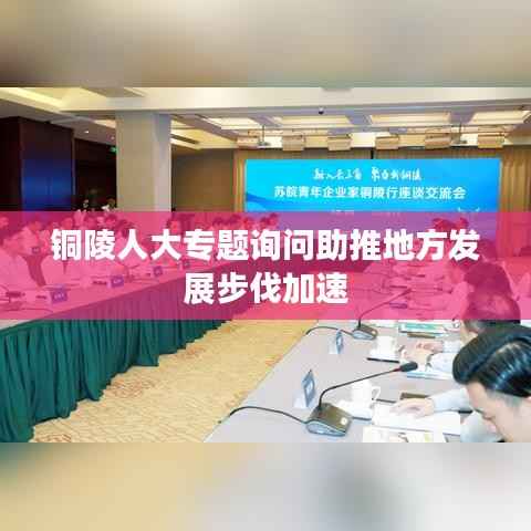 铜陵人大专题询问助推地方发展步伐加速